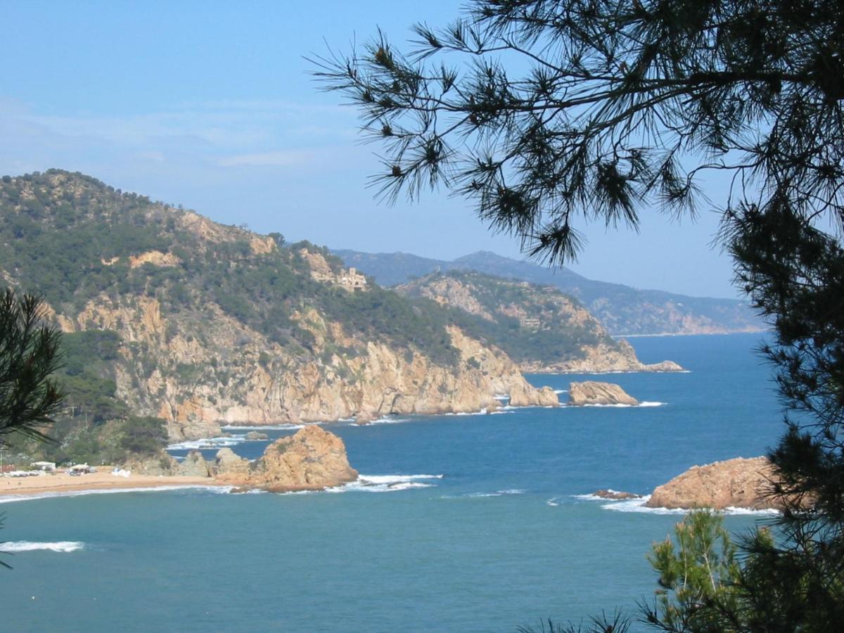 Arts House - Cabrils, Maresme, Barcelona Leilighet Eksteriør bilde
